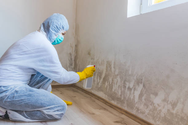 Hvac And Air Duct Mold Remediation inspection of HVAC system in Irving