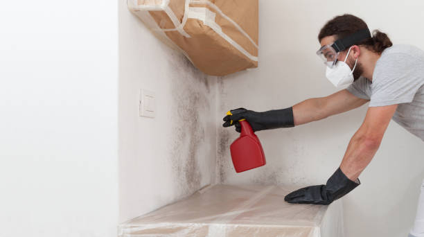 Attic Mold Remediation treatment on roof deck in Irving